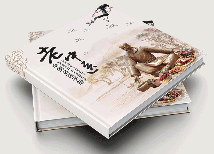 2020年精裝書冊(cè)宣傳書籍印刷  第2張