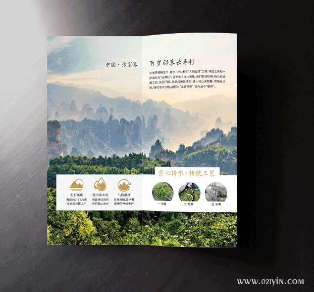 茶葉折頁  第2張