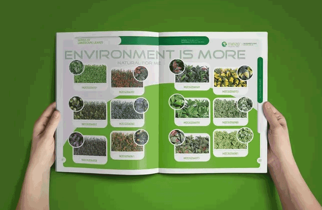 上海畫冊印刷產(chǎn)品有哪些主要特點(diǎn)