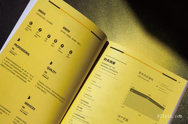 上海印刷公司從哪些角度做好公司畫冊設計欣賞  第1張