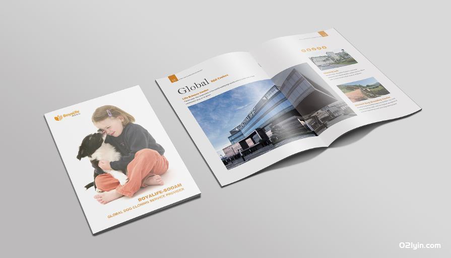 上海畫(huà)冊(cè)印刷廠