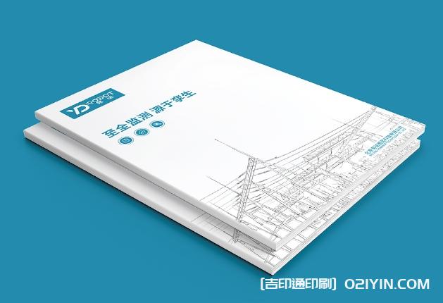 生態軟件IT供應鏈畫冊設計