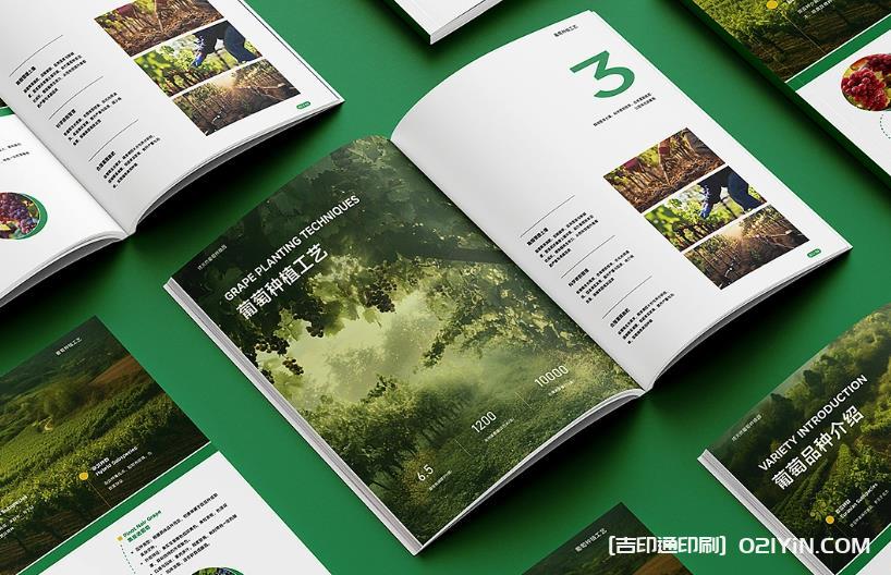 上海企業(yè)畫冊(cè)印刷專家：從設(shè)計(jì)到成品，一站式品質(zhì)服務(wù)